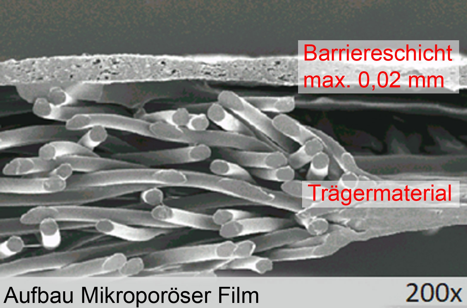 Aufbau Mikroporöser Film | Guido Maik Consulting